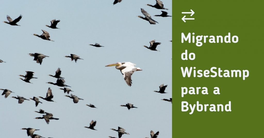 Migrando do WiseStamp para a Bybrand