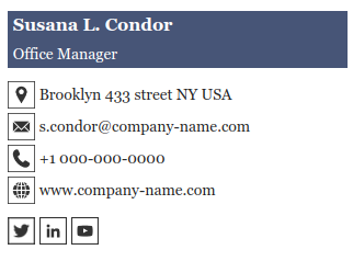 iPhone email signature example with plain text and icons.