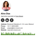 How to Create Consistent Employee Email Signatures (+Examples)
