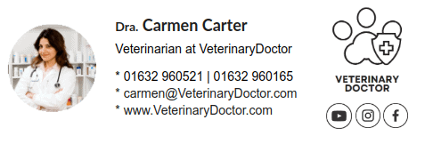 Assinatura de e-mail do veterinário com logotipo e foto de perfil.